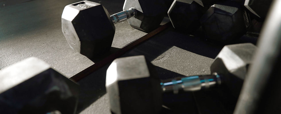 Gym Equipments