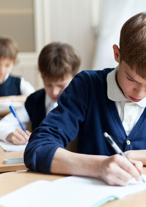Study in Senior / Secondary School