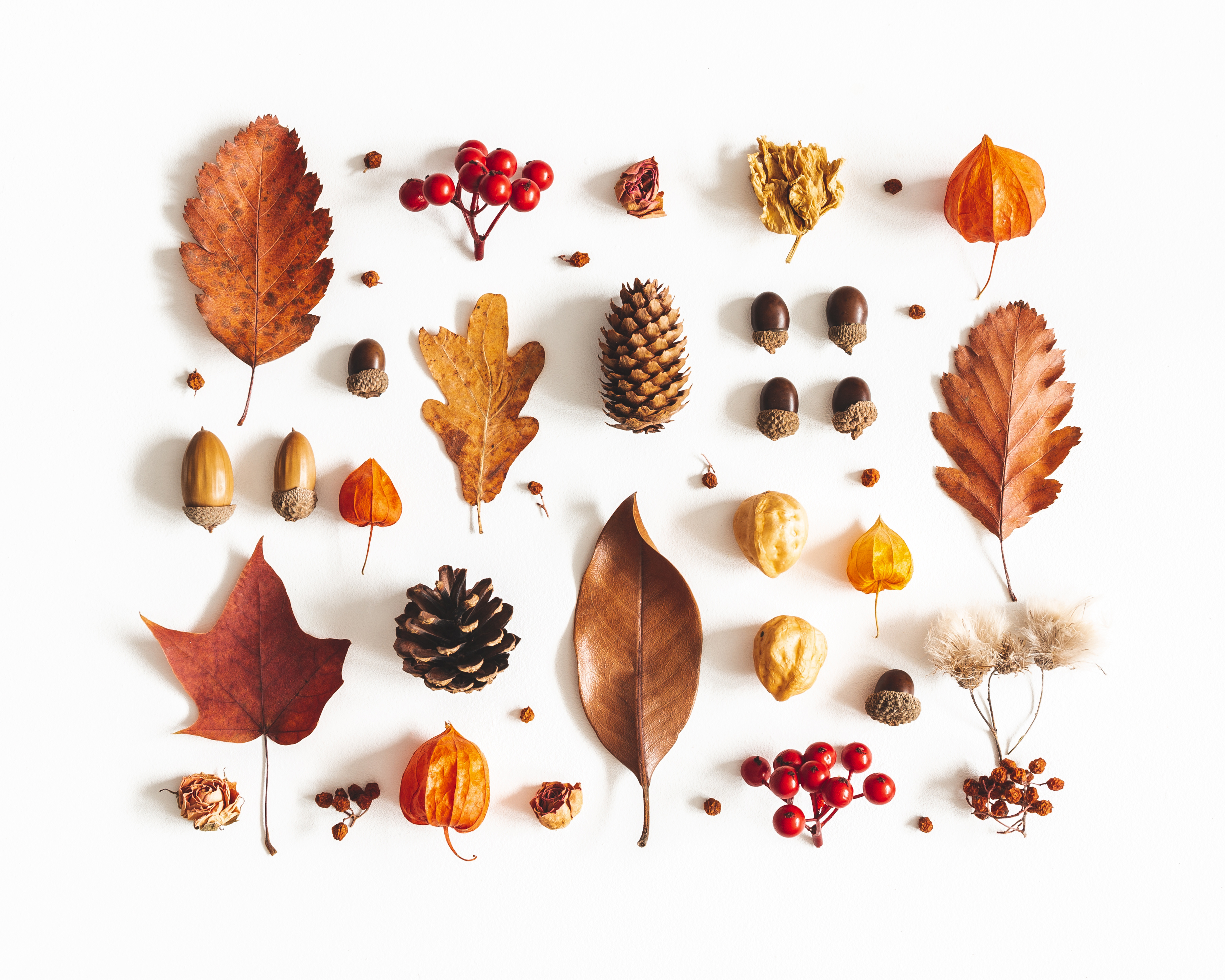 Autumn Tokens Pattern