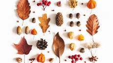 Do you get sick often with seasonal changes?