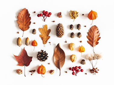 Patrón de fichas de otoño