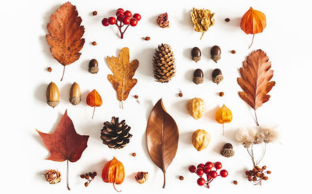 Herbst-Token-Muster