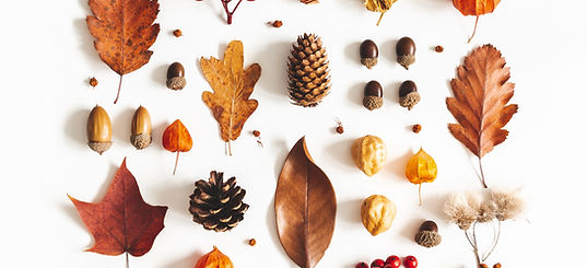 Autumn Nature Flatlay
