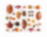 Autumn Tokens Pattern