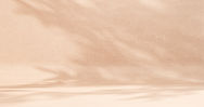 Fond beige texturé