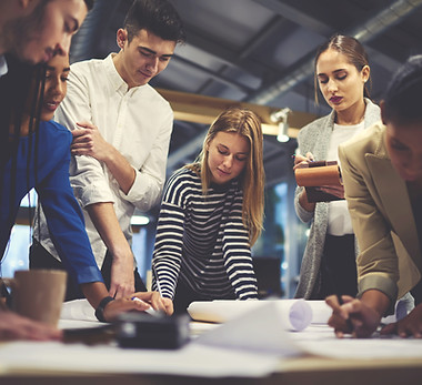 Working Together on Project