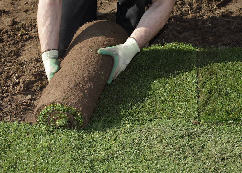 Man unrolling new turf