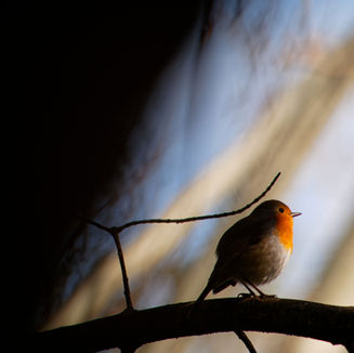 Perspective: This Really Matters