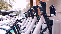 BIKE RENTALS / TOURS