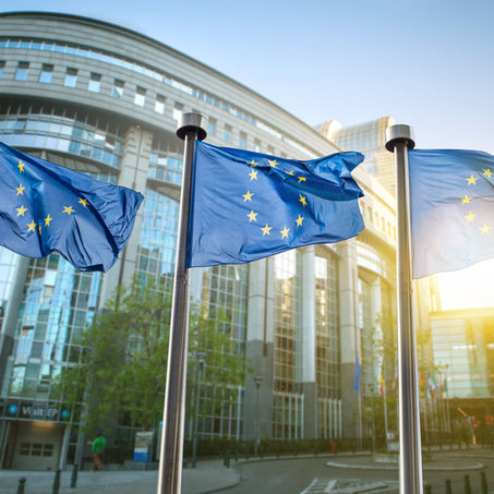 Transparency on Tax Rulings Granted to HNWIs required by EU