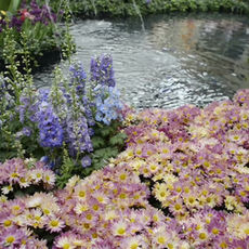 Our Journey and Rays of Attention