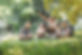 Nature Class
