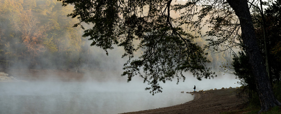 Foggy Lake