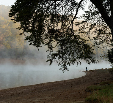 Foggy Lake