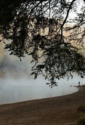 Misty Lakeside Scene