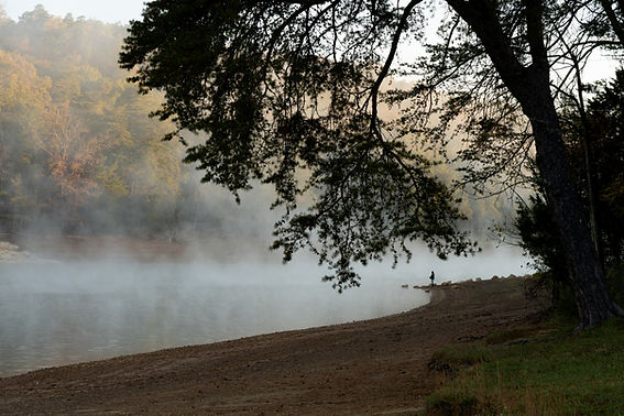 Foggy Lake