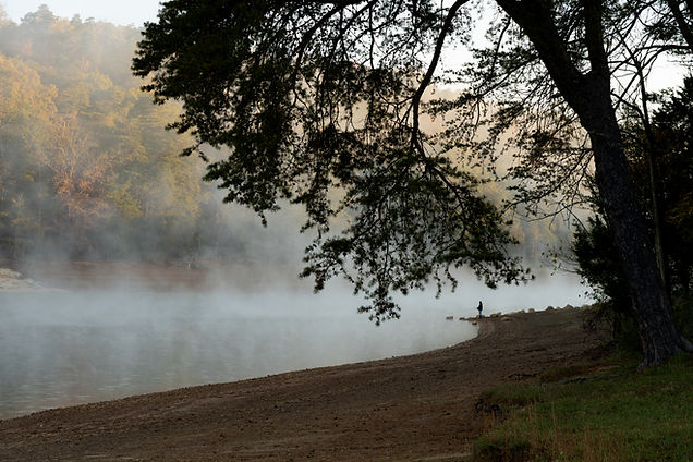 Misty Lakeside Scene