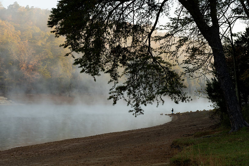 Misty Lakeside Scene