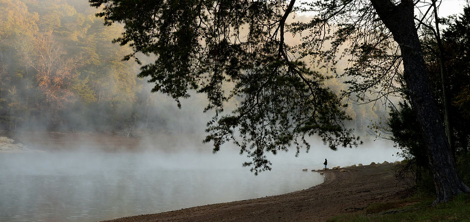 Foggy Lake