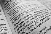 Italian Law Book