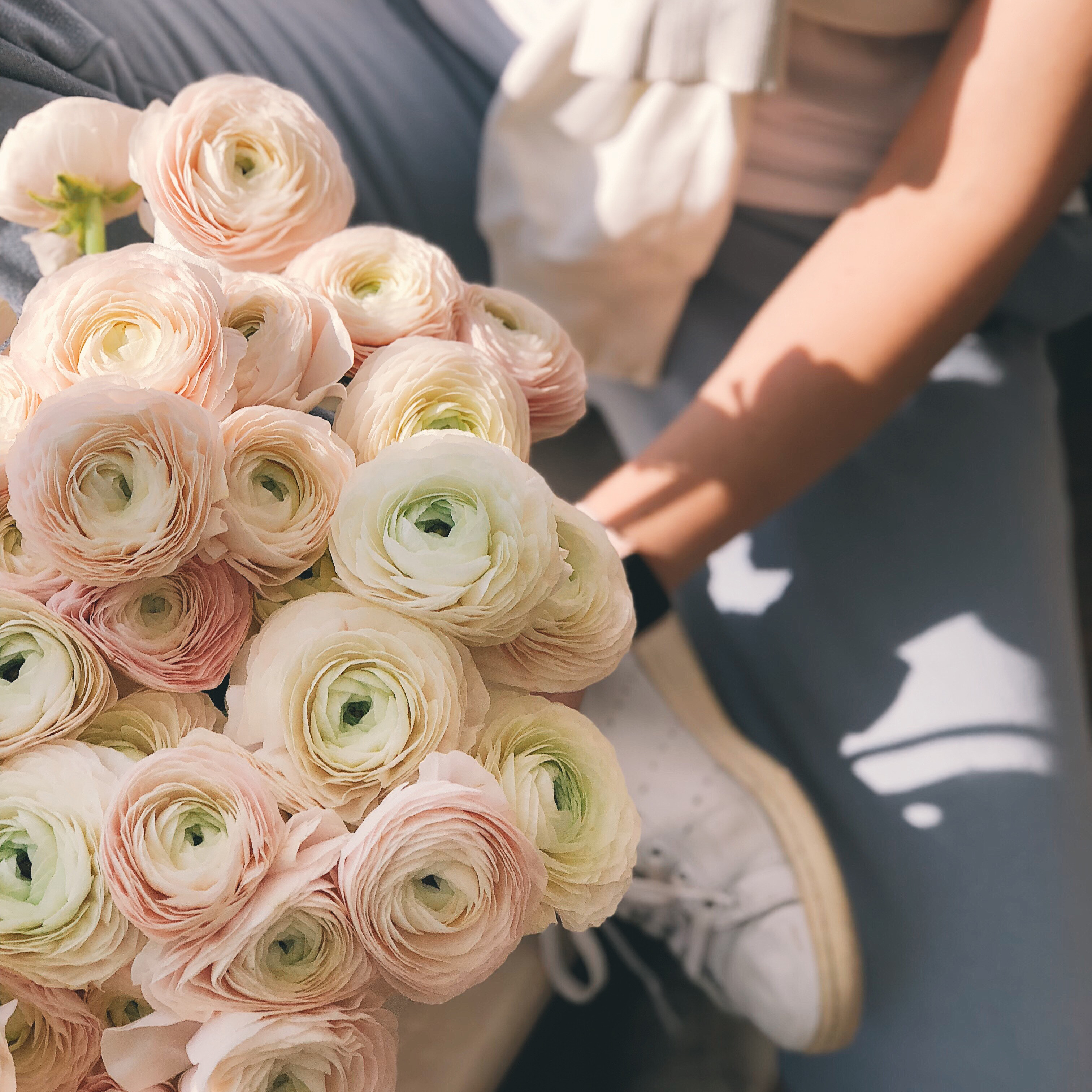 Arranged Food and Objects