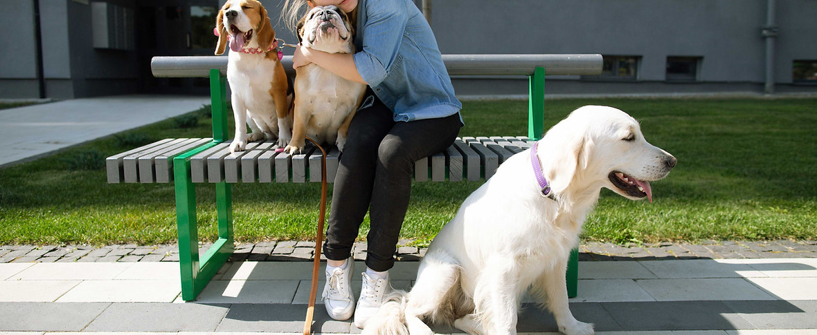 Dog Lover