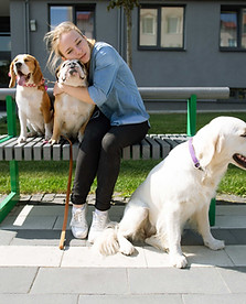 Woman With Dogs
