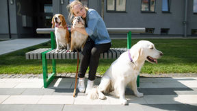 woman sitting on bench on a sunny day hugging 1 of the 2 dogs sitting next to her, with another dog sitting at her feet