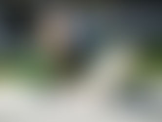 Why a Professional Pet Sitter is Your Secret Weapon for Pet Happiness While You’re Away