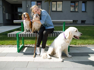 Amante de cães