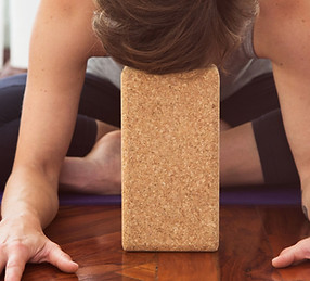 Yoga pose with block