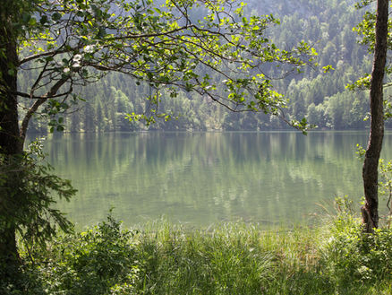 Morgenstimmung am See