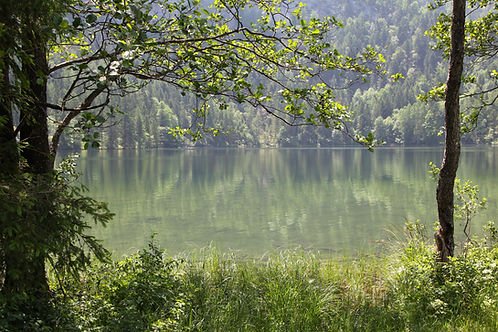 Faded background scenic shot at the lake