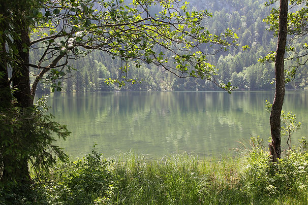 At the lake
