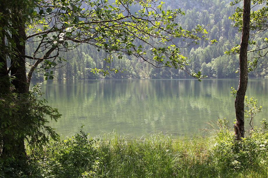 At the lake