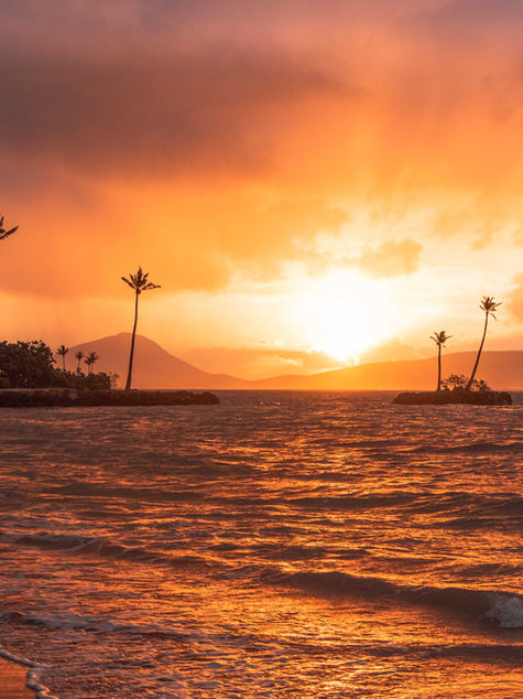 Golden sunset over a tropical beach with silhouetted palm trees, orange clouds, and waves lapping the shore.