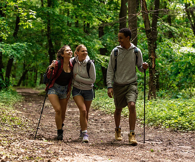 Group Hiking Outdoors