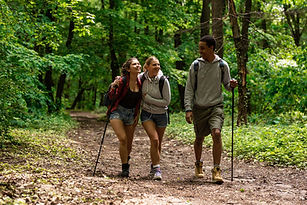 Hiking in Forest