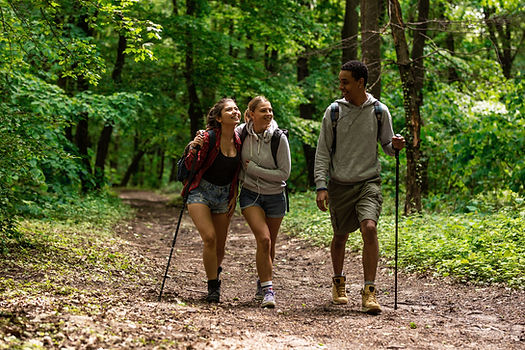 Hiking in Forest
