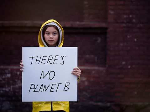 Forget Climate Change Actions if we don’t think incentives