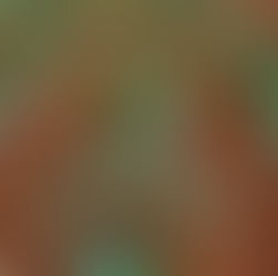 A importância do laudo de capacidade financeira para a prorrogação das dívidas rurais de custeio