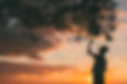Sunset Clouds and Tree