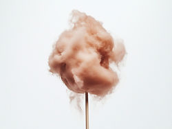 Cotton Candy on Stick