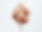Cotton Candy on Stick