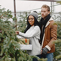 Couple Choosing Christmas Tree