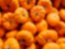 Bright Orange Pumpkins