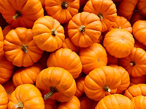 Bright Orange Pumpkins