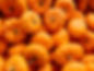 Pile of Pumpkins