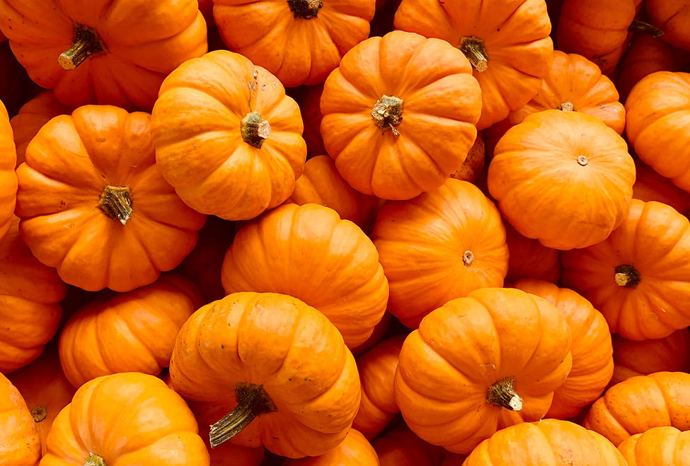 Pile of Pumpkins