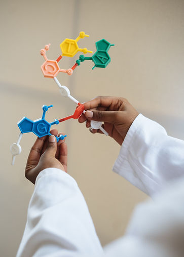 DNA Model Handling